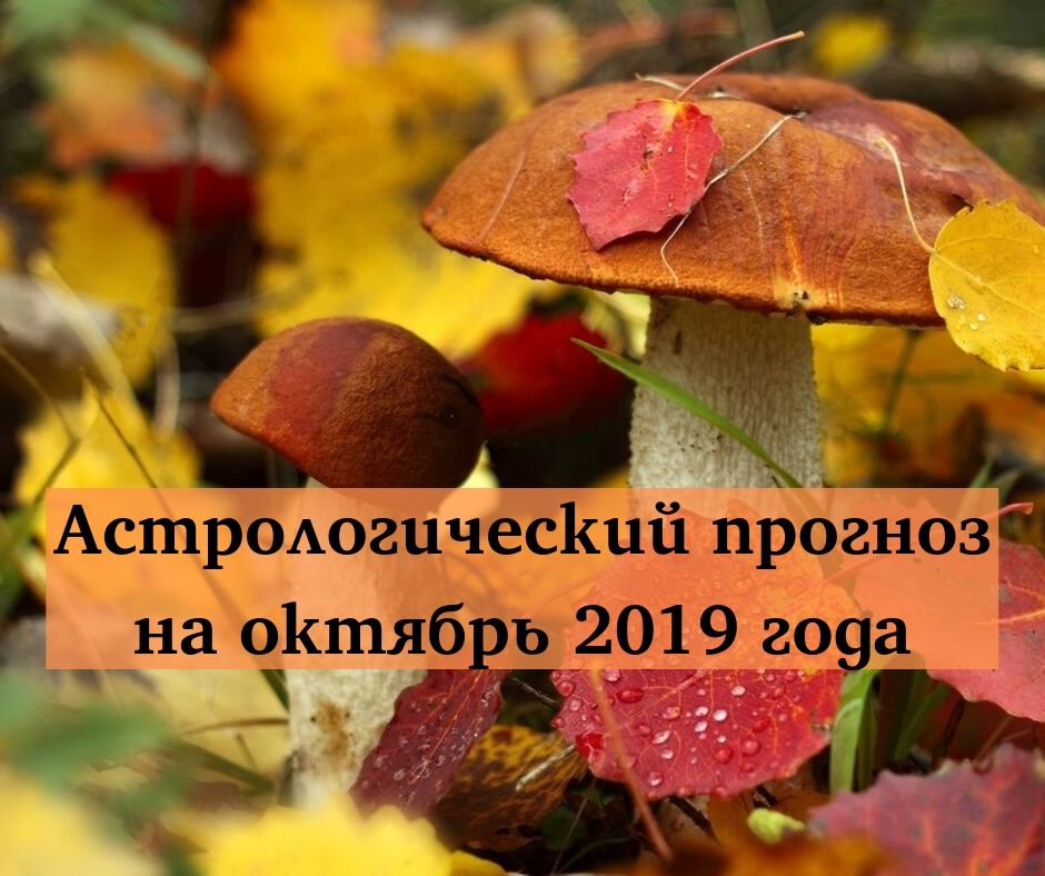 Что будет в октябре 2019